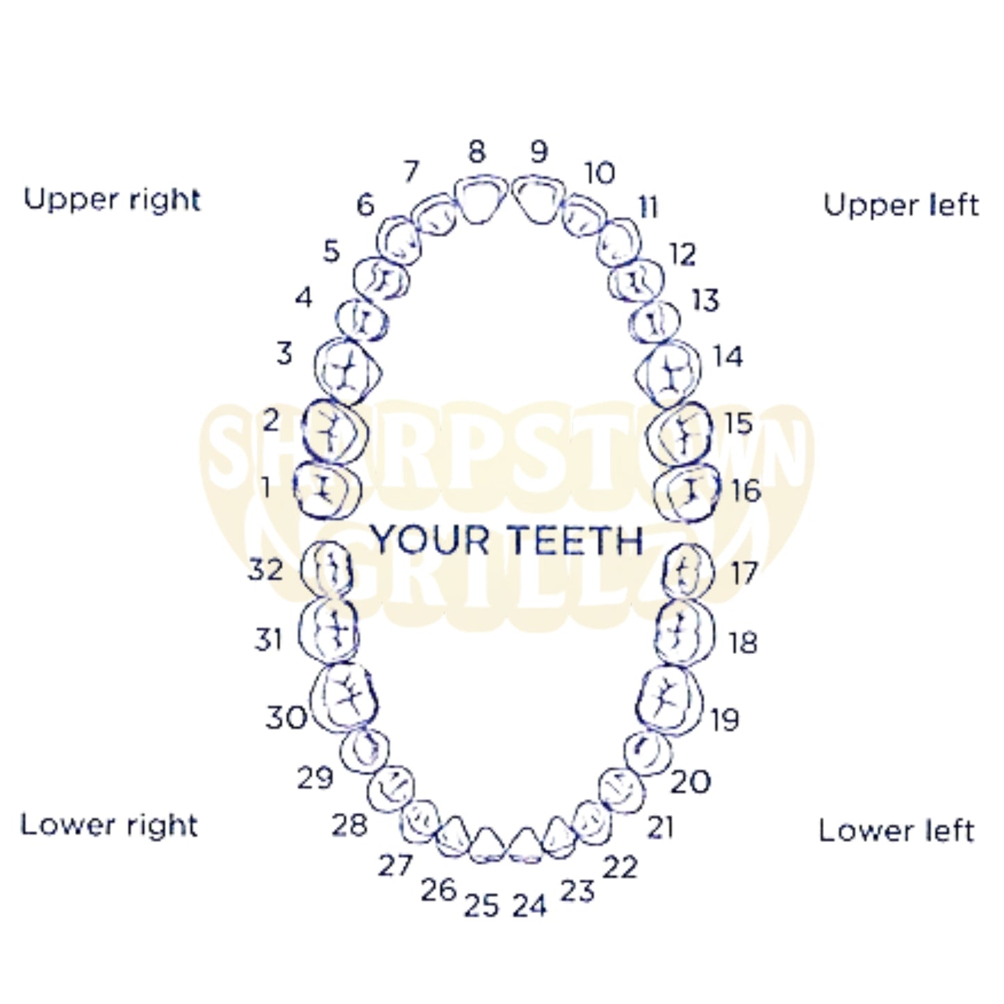 An anatomical diagram of a human dental arch showing numbered tooth positions from 1 to 32, with labels for upper right, upper left, lower right, and lower left. The teeth are illustrated in blue outline on a white background, with a faint watermark reading 'Simpston Dental' across the center.
