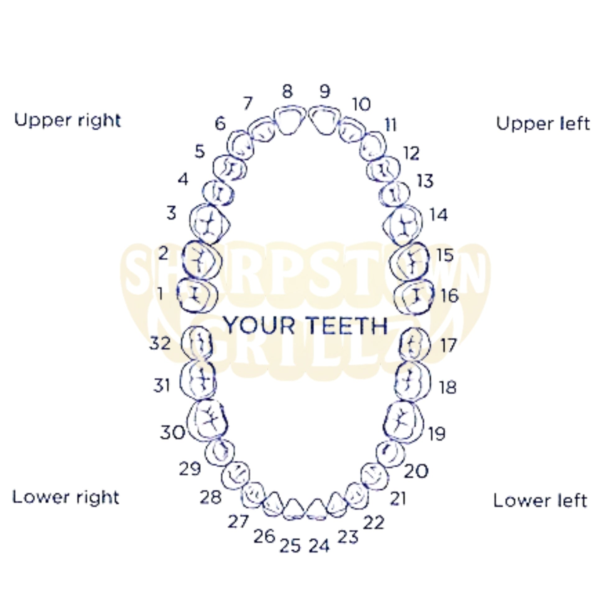 An anatomical diagram of a human dental arch showing numbered tooth positions from 1 to 32, with labels for upper right, upper left, lower right, and lower left. The teeth are illustrated in blue outline on a white background, with a faint watermark reading 'Simpston Dental' across the center.