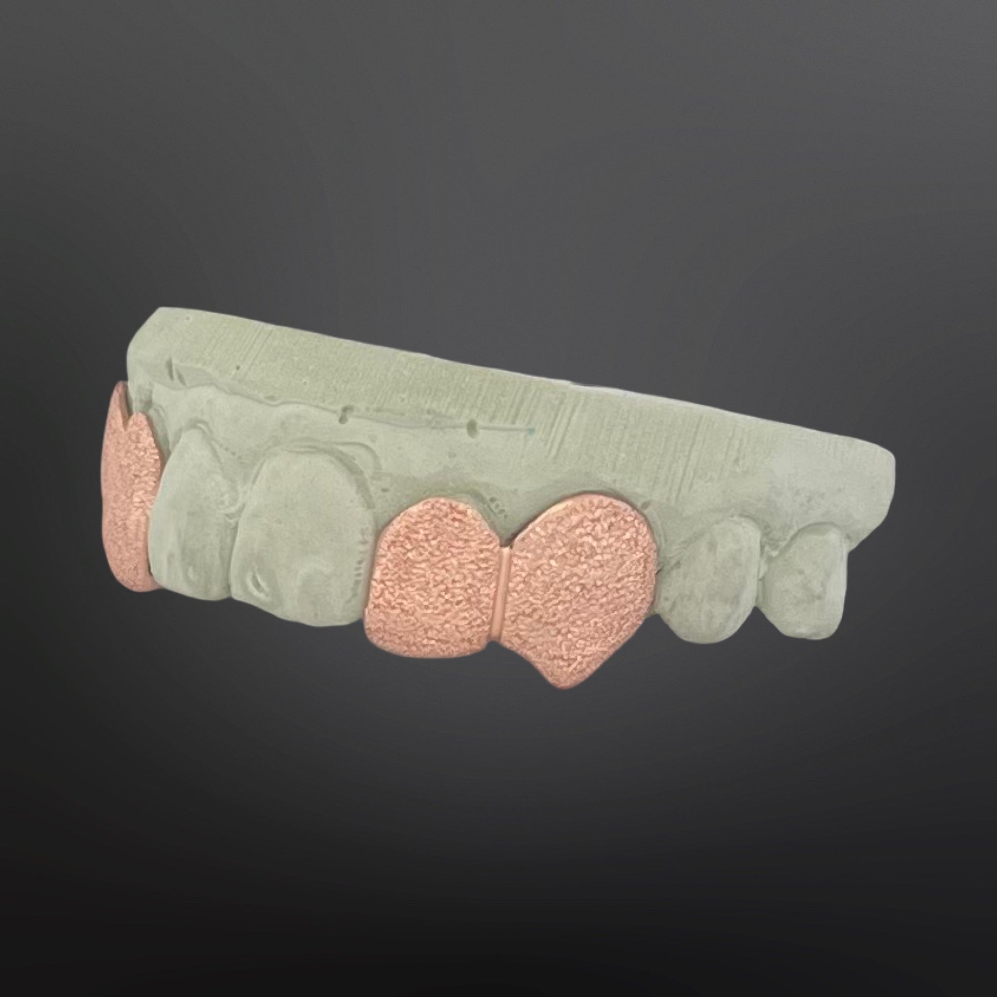 Teeth model with green crown and pink roots on a dark background